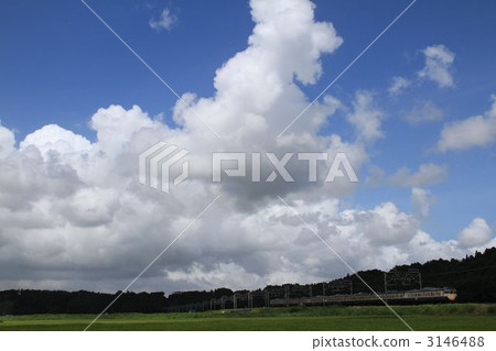 Sobuyu系列113系列 3146488