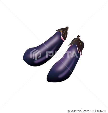 Eggplant illustration Eggplant illustration 3146676