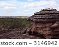 northern territory, oceania, virgin forest 3146942