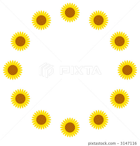 Sunflower circle Sunflower circle 3147116