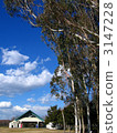 Winter Misato Park 3147228