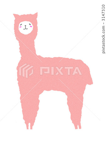 羊駝 羊駝 3147310