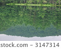 Shrine pond 3147314