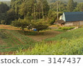 Scenery of Oshu city, Iwate prefecture 3147437