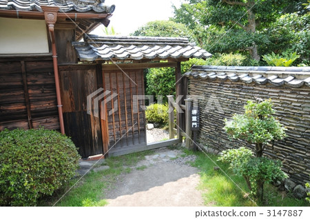 Nomura family Nomura family 3147887