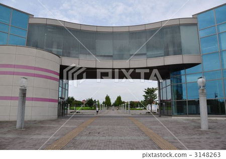 藝術鵝卵石 藝術鵝卵石 3148263