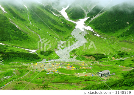 Rain thunder birds 3148559