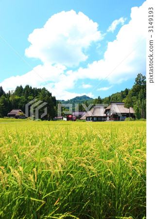 茅草村 茅草村 3149193