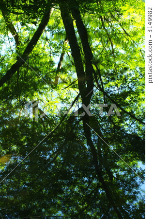 Water surface Water surface 3149982