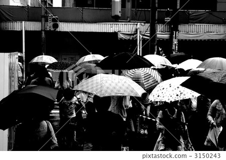 雨傘 雨傘 3150243