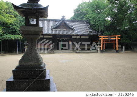 神社(白鳥神社) 神社(白鳥神社) 3150246