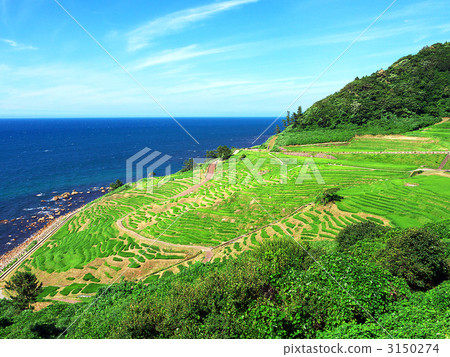 塞納遠景白米 塞納遠景白米 3150274