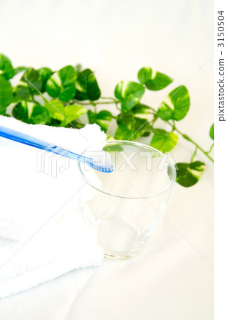 tooth brush, pothos, devil's ivy 3150504