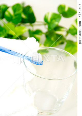 toiletries, toiletry, toothpaste 3150505