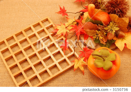 chestnut, chestnuts, japanese chestnut 3150736