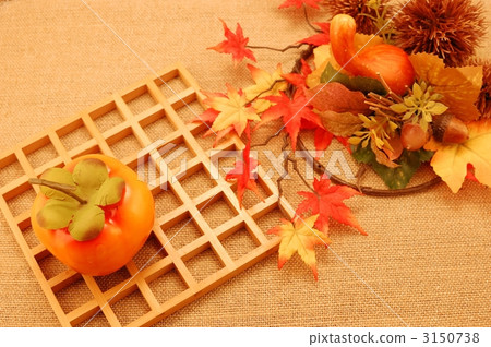 chestnut, chestnuts, japanese chestnut 3150738