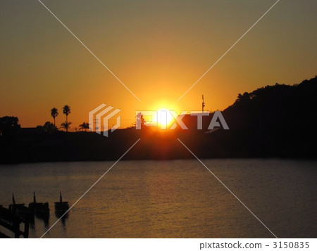 屋久島的早晨 3150835