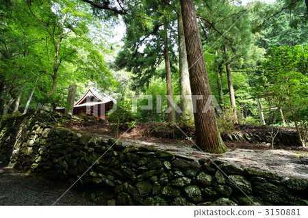 Anzaiji Anzaiji 3150881
