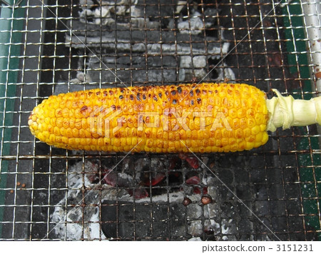 烤玉米 3151231