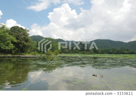 Summer Osawa pond 3153611
