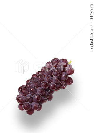 Grape  3154556