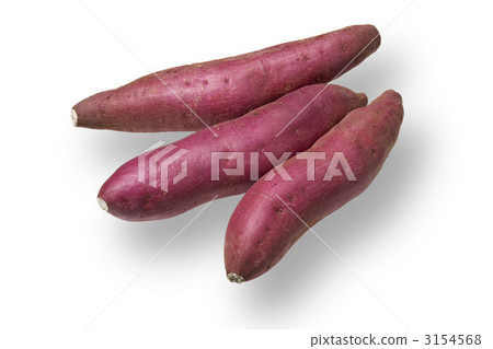甘藷 甘藷 3154568