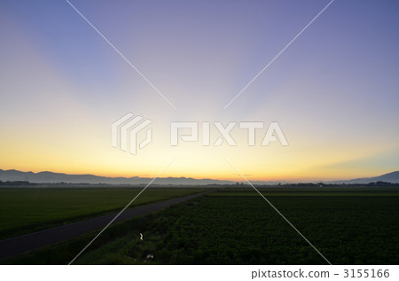 Chikugo Hirano Dawn 3155166