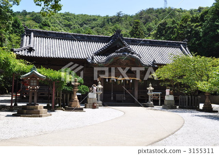 早稻田自殺女神 早稻田自殺女神 3155311