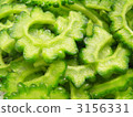 Goya of a home garden 3156331