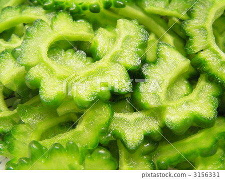 家庭花園的Goya 3156331