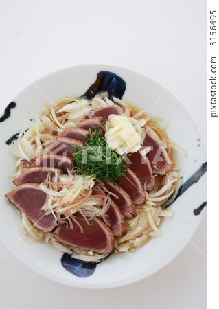 鰹魚的鳥瞰圖 鰹魚的鳥瞰圖 3156495