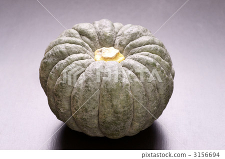 KOKKYO南瓜 KOKKYO南瓜 3156694