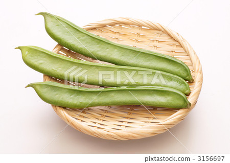 劍豆(Tatamame)品種是白豆 劍豆(Tatamame)品種是白豆 3156697