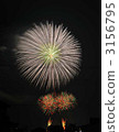 煙花 花火 焰火 3156795