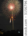 煙花 花火 焰火 3156796