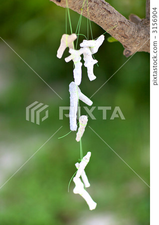 Tone color of the tropical ocean Coral wind chimes Tone color of the tropical ocean Coral wind chimes 3156904