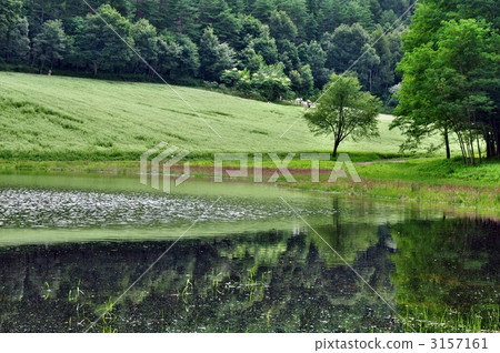 pond, lagoon, lakes and marshes 3157161