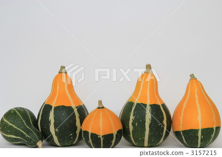 Toy squash 3157215