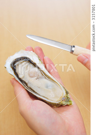 牡蠣脫落了 3157801
