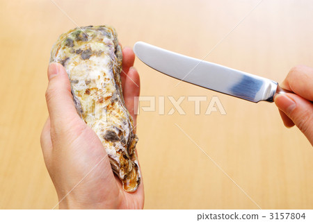 牡蠣脫落了 牡蠣脫落了 3157804
