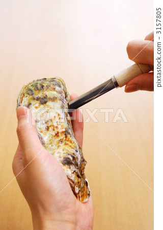 Oyster peeled off Oyster peeled off 3157805