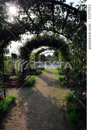 弓形 光線 光束 3157951