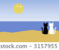 moon watching, a full moon, full moon 3157955