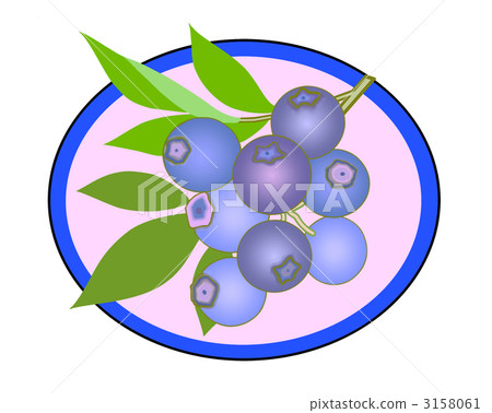 Blueberry label 3158061