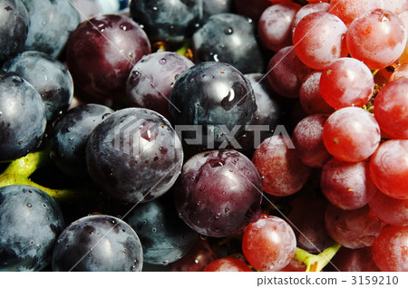 Grapes Grapes 3159210