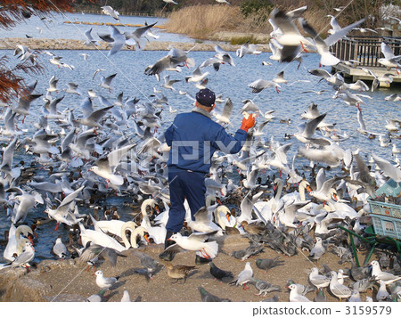 誘餌矛 動物園 設施 3159579