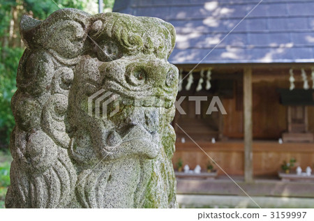 守護狗 守護狗 3159997