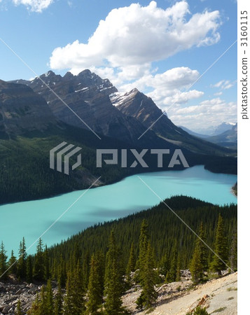 沛托湖 沛托湖 3160115