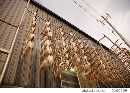 Dried fish Dried fish 3160209