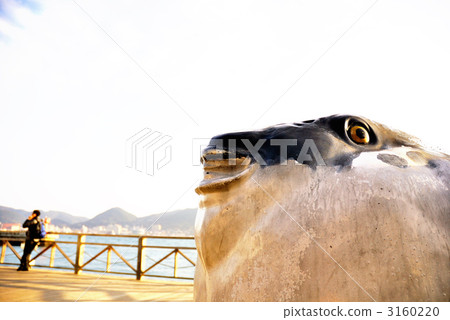 Kagami Strait Fugu Kagami Strait Fugu 3160220